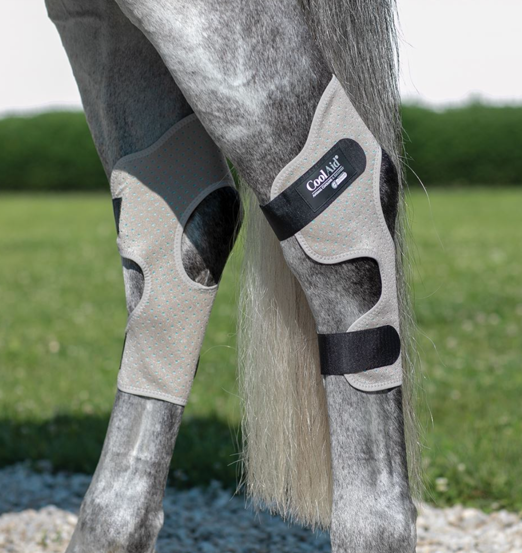 Weaver Coolaid (Synergy) Equine Icing and Cooling Hock Wraps