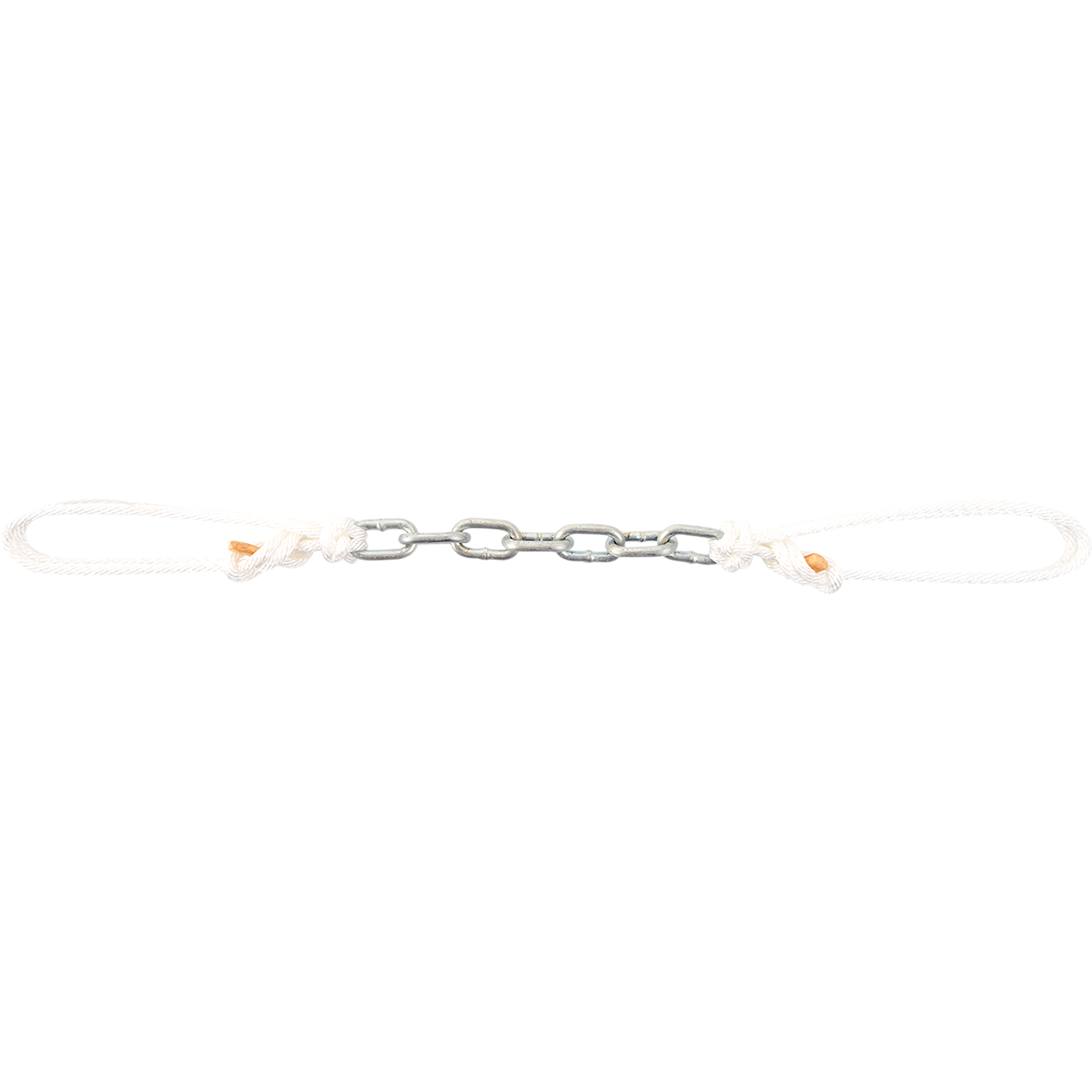 Martin Dog Chain Curb Strap