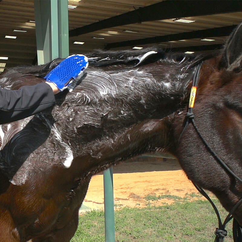 Vetericyn FoamCare® Equine Shampoo - 32 oz