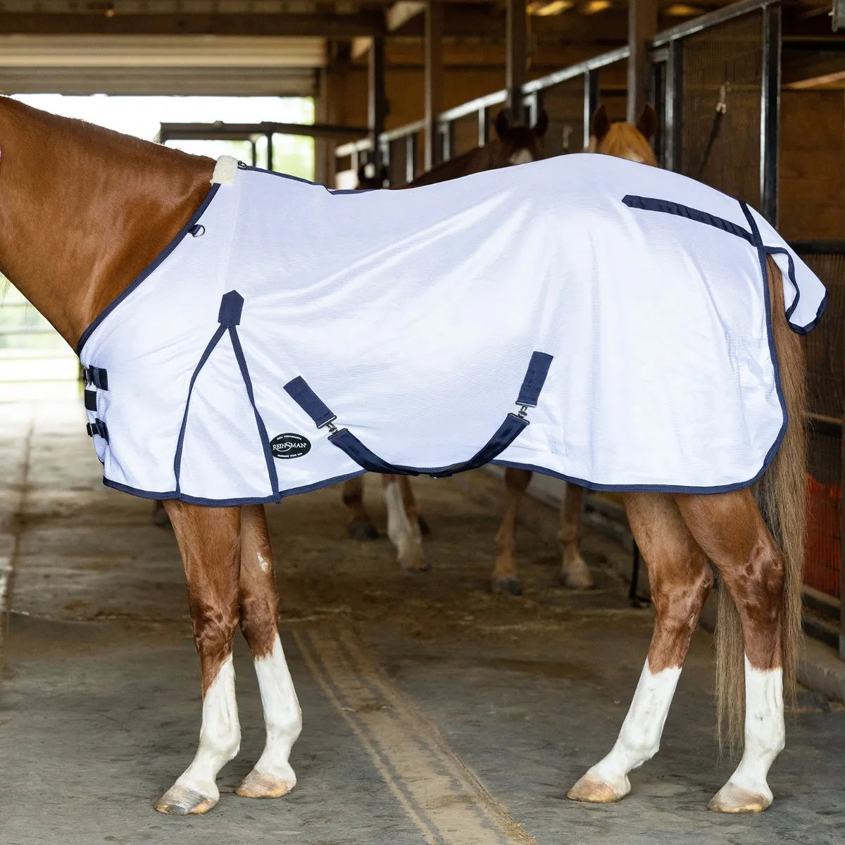 Reinsman Guardian Fly Sheet