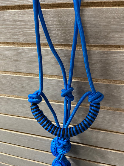 CST Braided Wrapped Nose Rope Halter & Lead