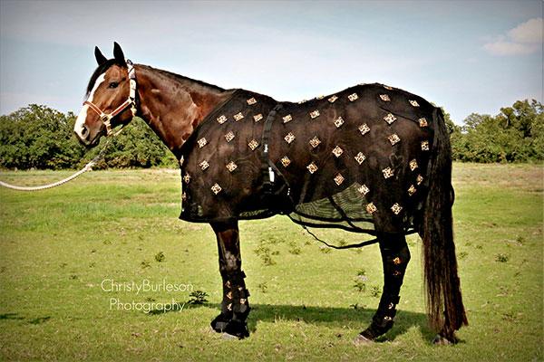 PHT MagnaCu Horse Blanket/Sheet