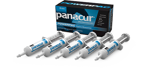 Panacur® POWERPAC Equine Dewormer (fenbendazole)