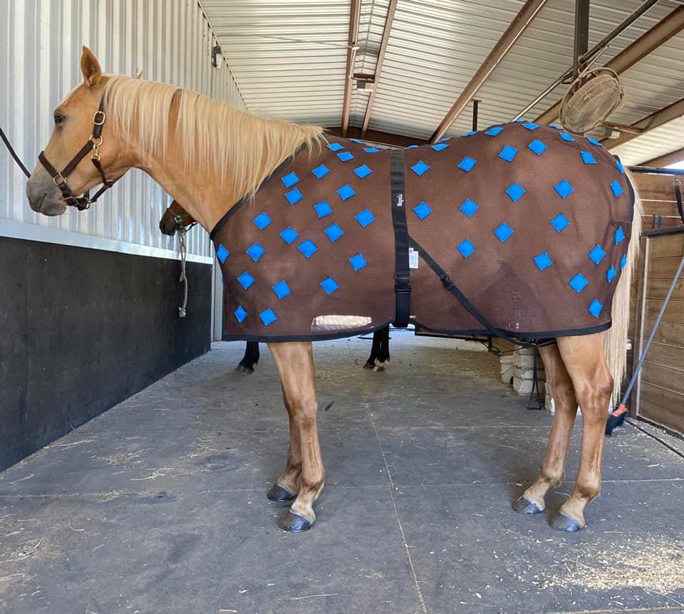 PHT MagnaCu Shoulder & Lumbar Blanket/Sheet Leanin' Pole Arena