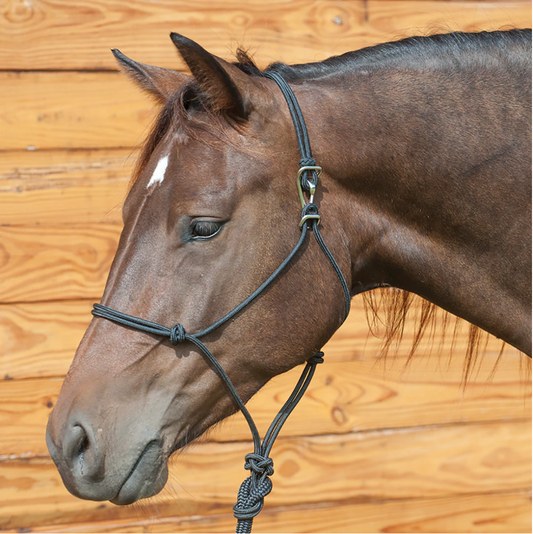 Classic Equine Quick Change Rope Halter & Lead