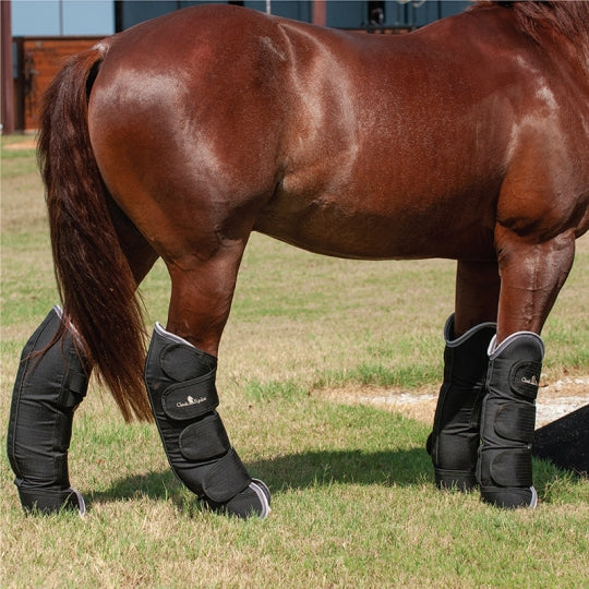 Classic Equine Shipping Boots